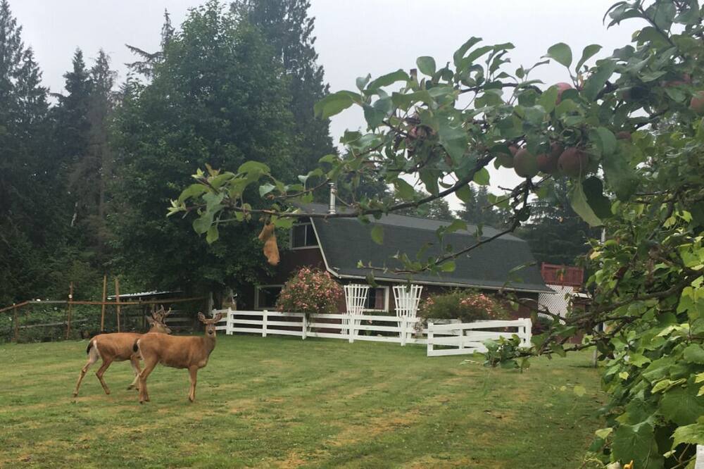 Photo of Others in Snohomish
