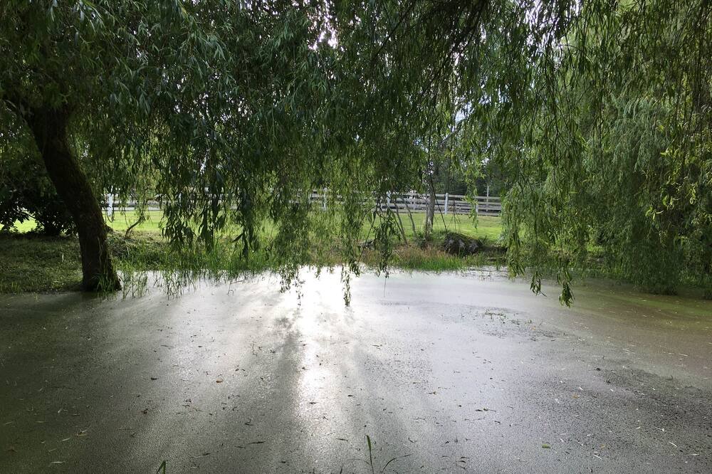 Photo of Others in Snohomish