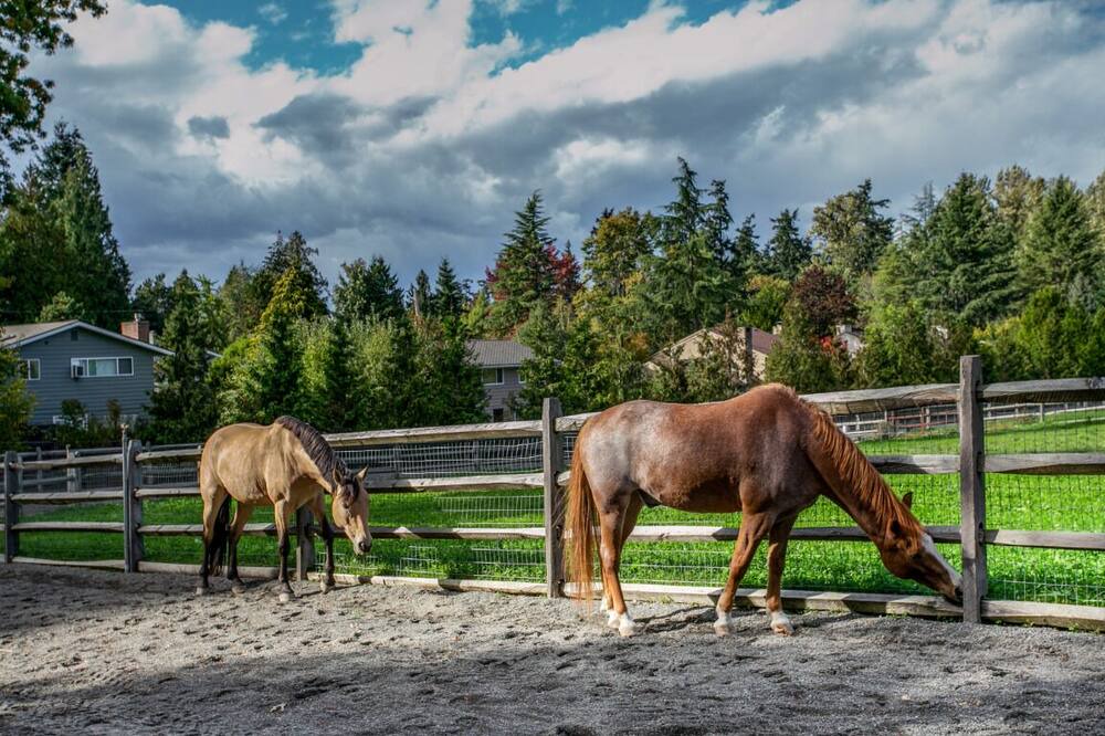 Photo of Others in Mercer Island
