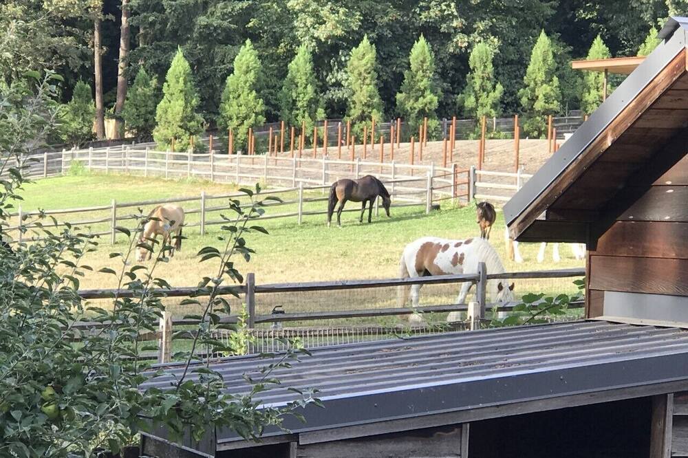 Photo of Others in Mercer Island