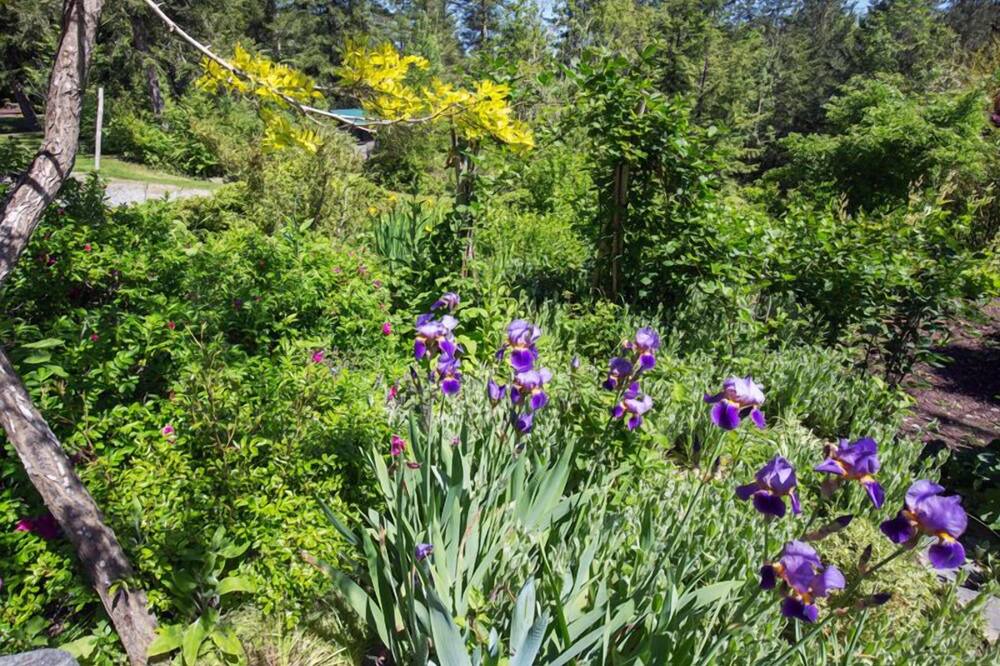 Photo of Others in Sequim