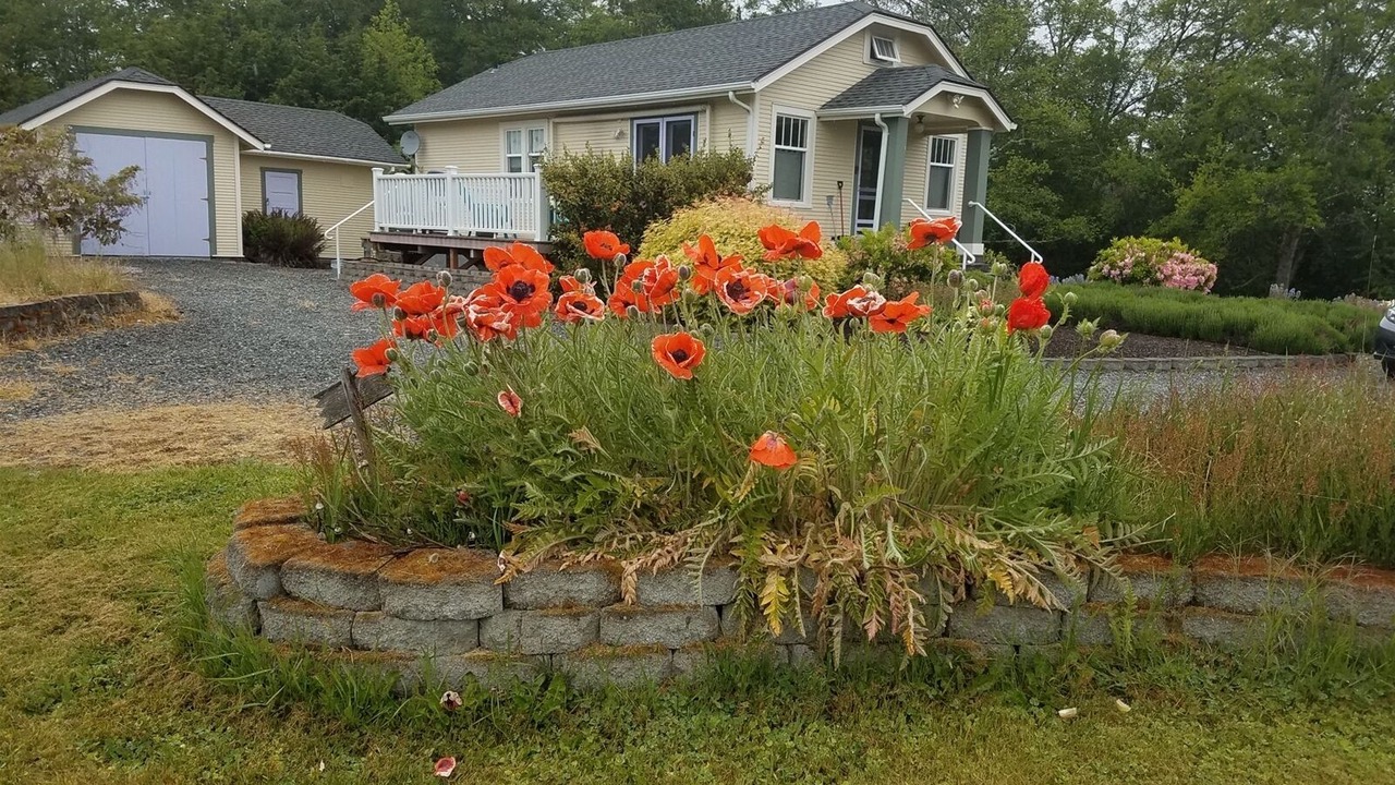 Photo of Outdoor in Sequim