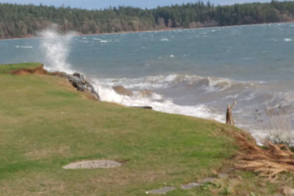 Photo of Others in Port Hadlock