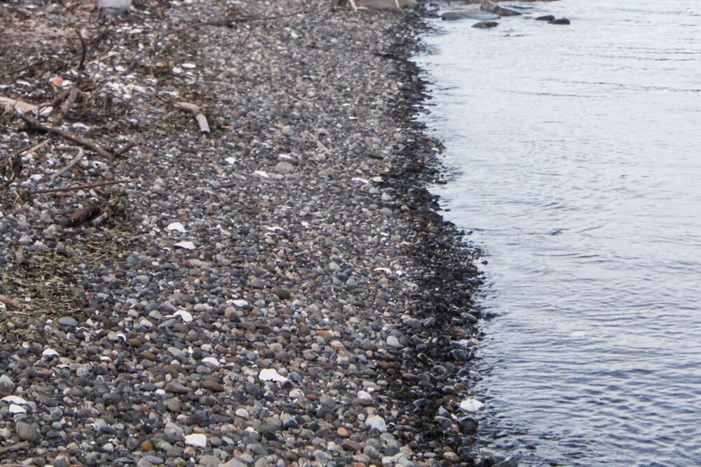 Photo of Others in Port Hadlock
