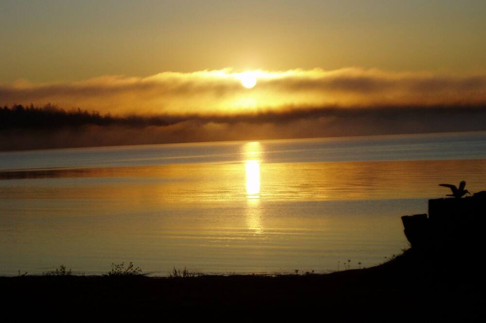 Photo of Others in Port Hadlock
