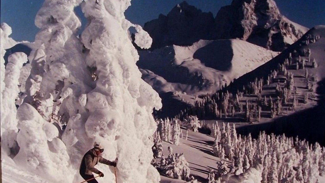 Photo of Others in Alta
