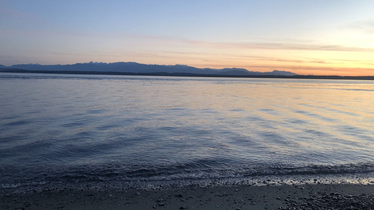 Photo of Others in Lagoon Point