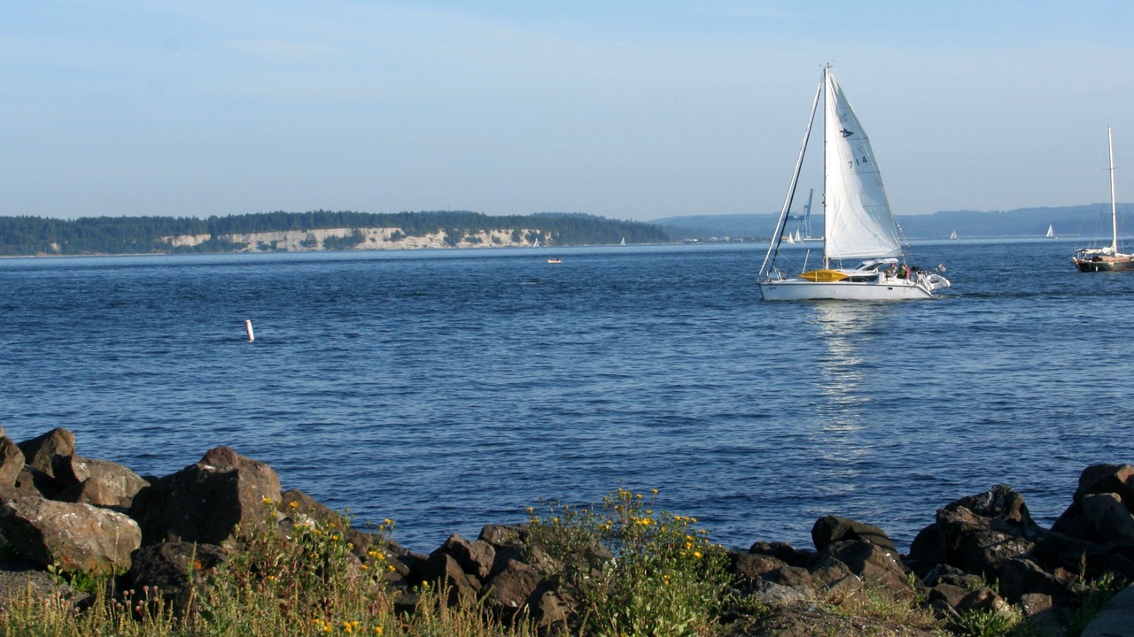 Photo of Others in Adelma Beach
