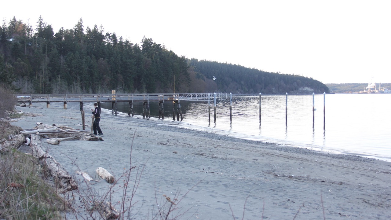 Photo of Others in Adelma Beach
