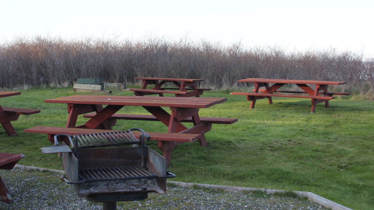 Photo of Outdoor in Adelma Beach