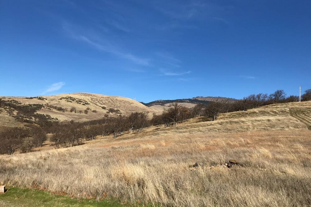 Photo of Others in Ashland