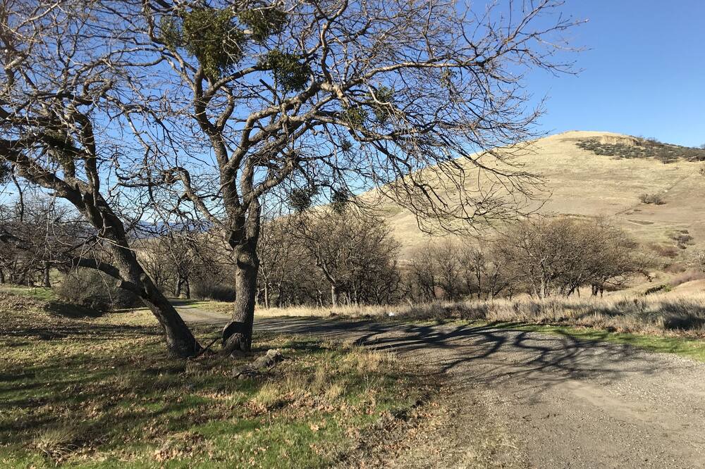 Photo of Others in Ashland