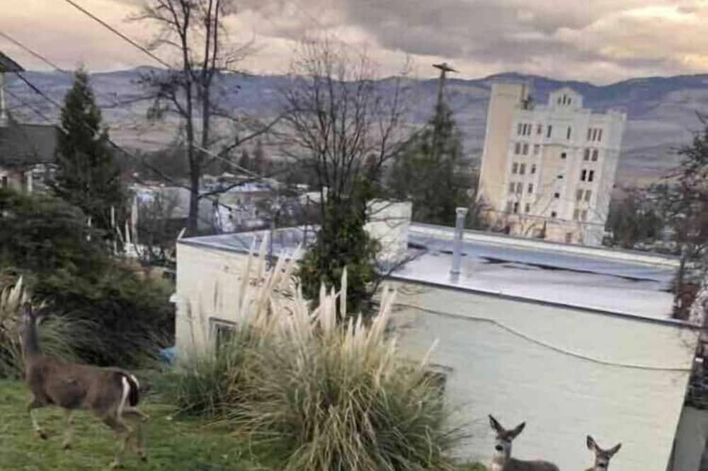 Photo of Others in Siskiyou-Hargadine Historic District