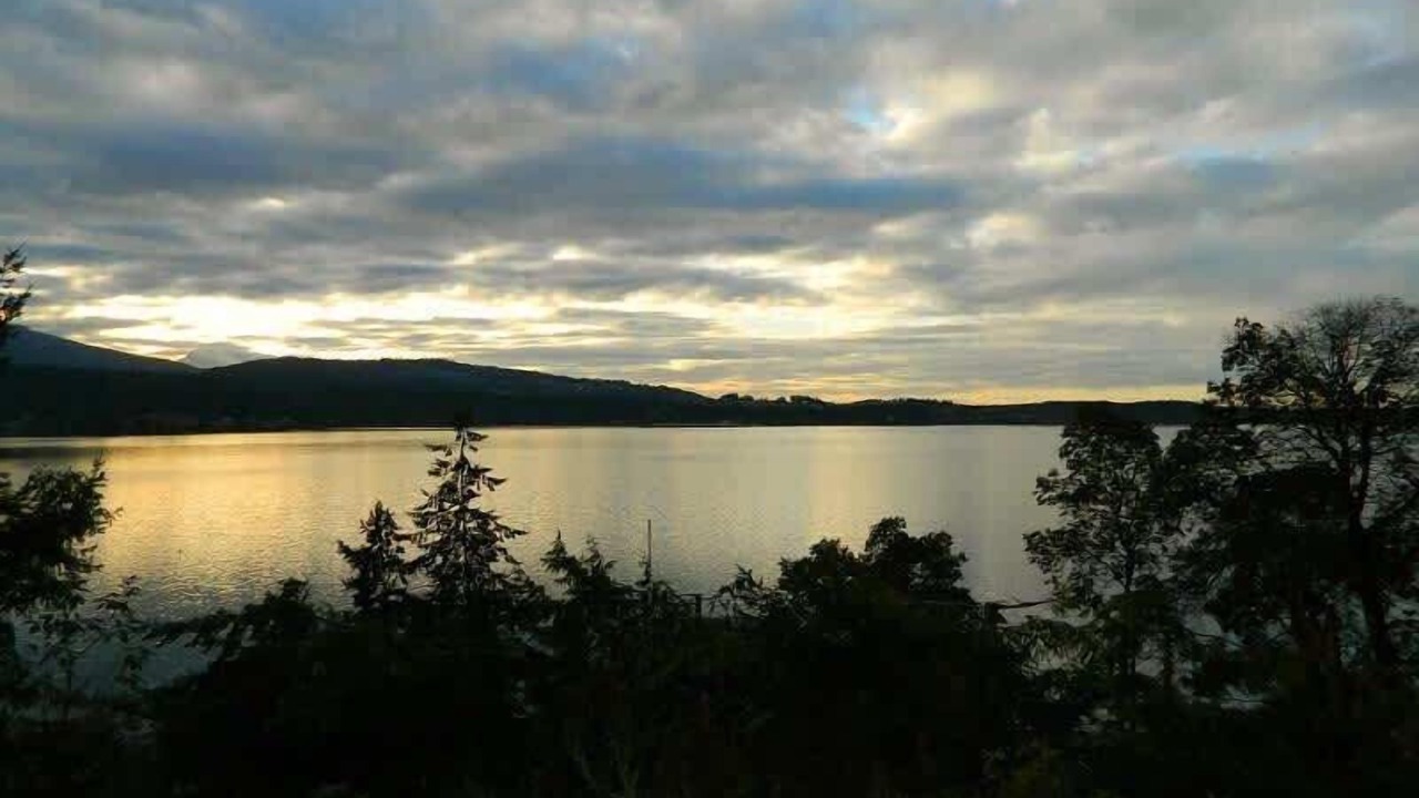Photo of Others in Sequim