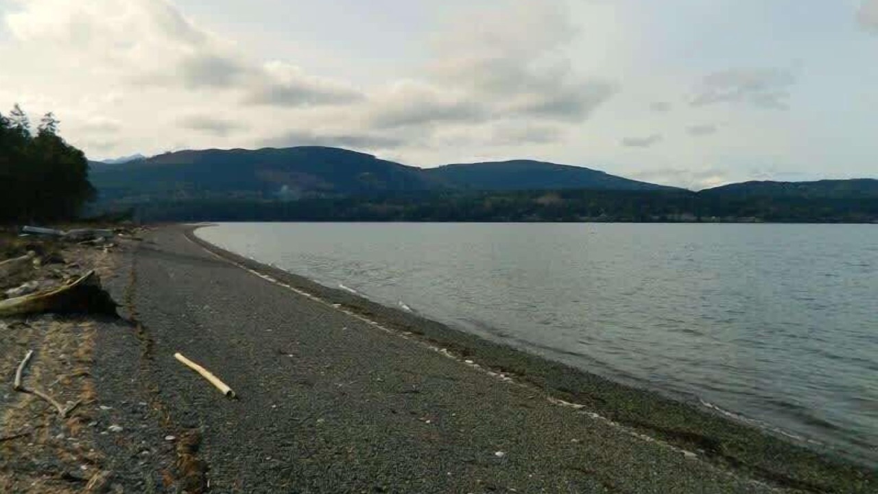 Photo of Others in Sequim
