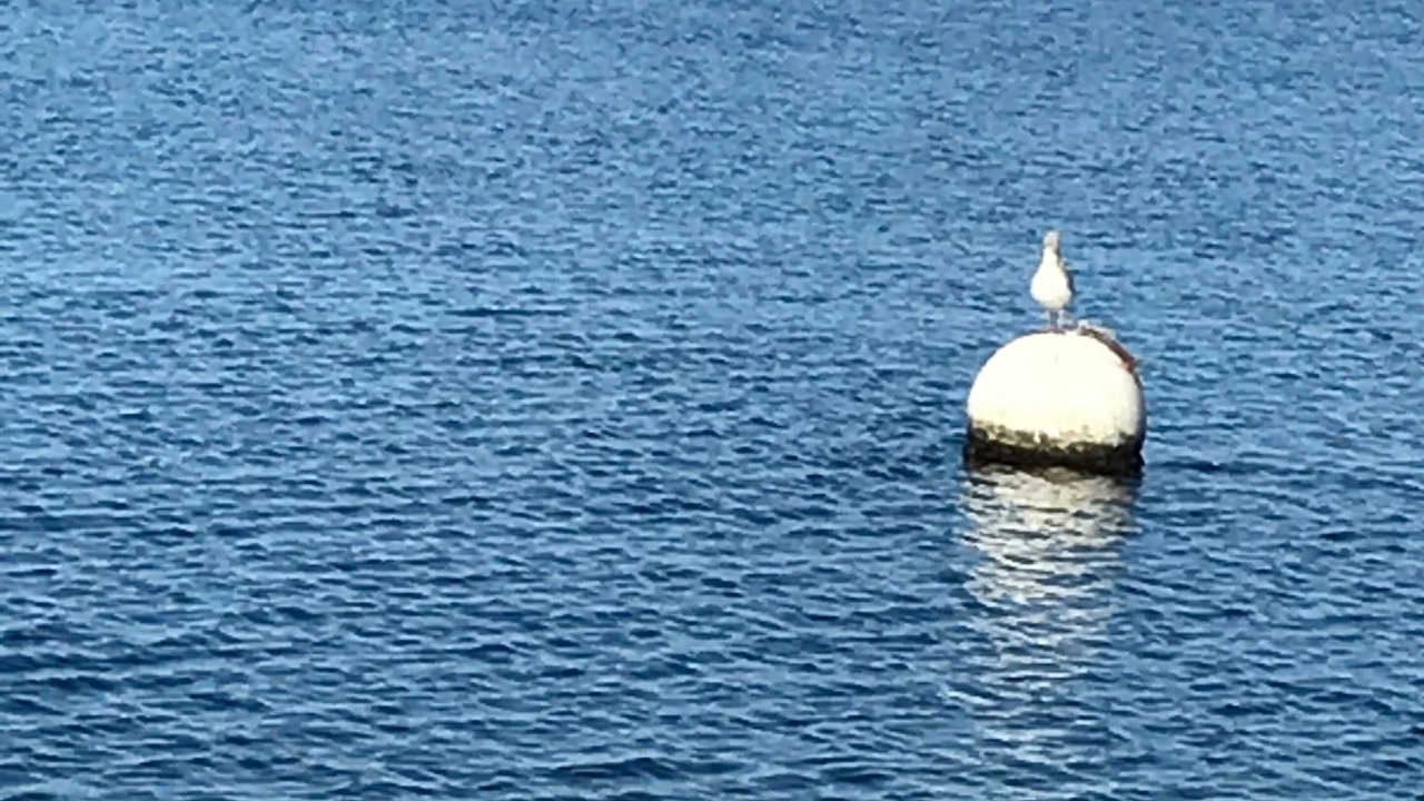 Photo of Others in Camano Island