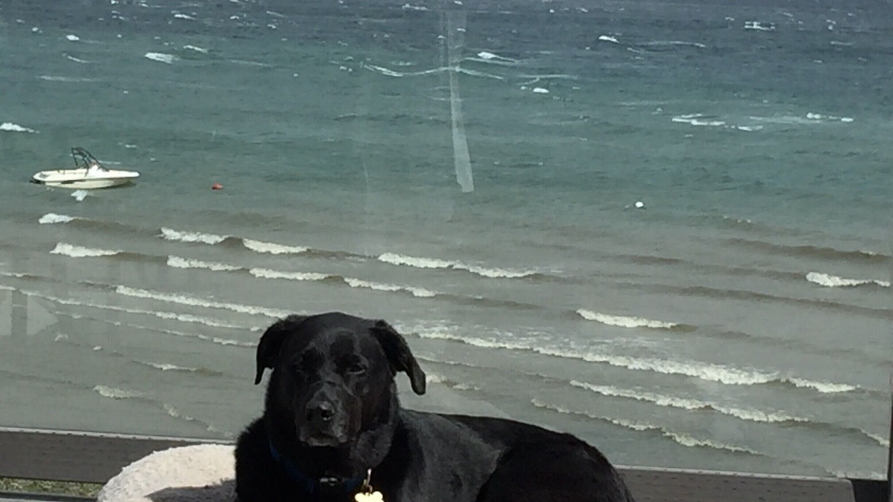 Photo of Others in Camano Island