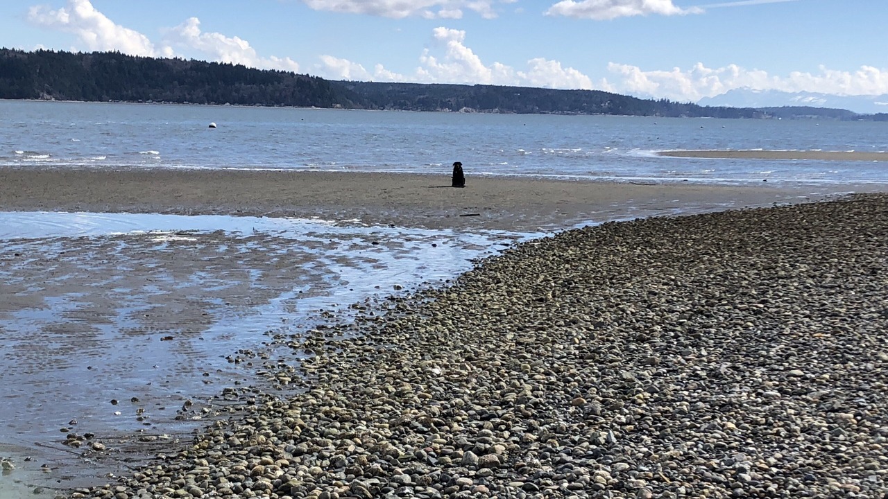 Photo of Others in Camano Island
