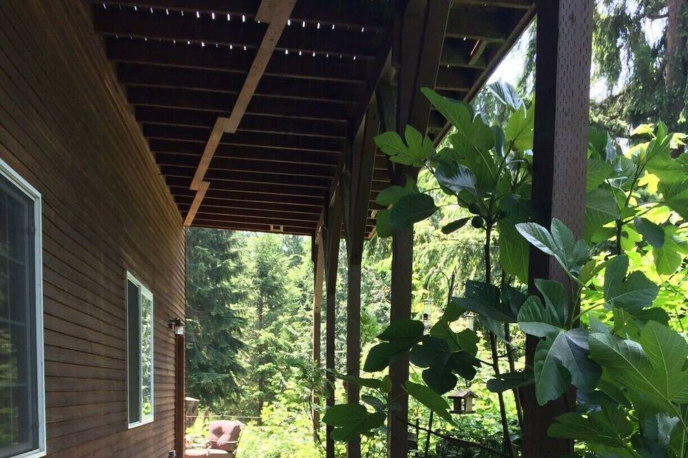 Photo of Outdoor in Snohomish