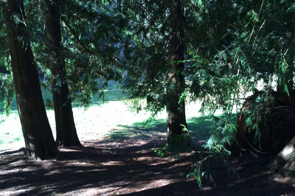 Photo of Others in Snohomish