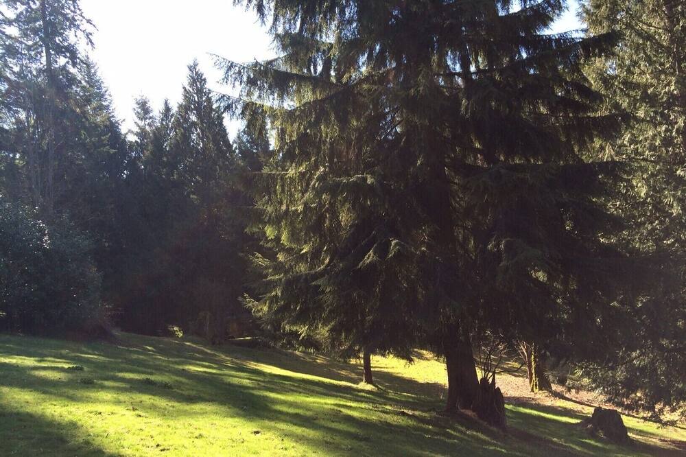 Photo of Outdoor in Snohomish