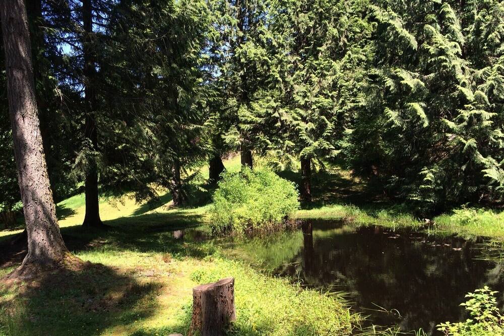 Photo of Outdoor in Snohomish