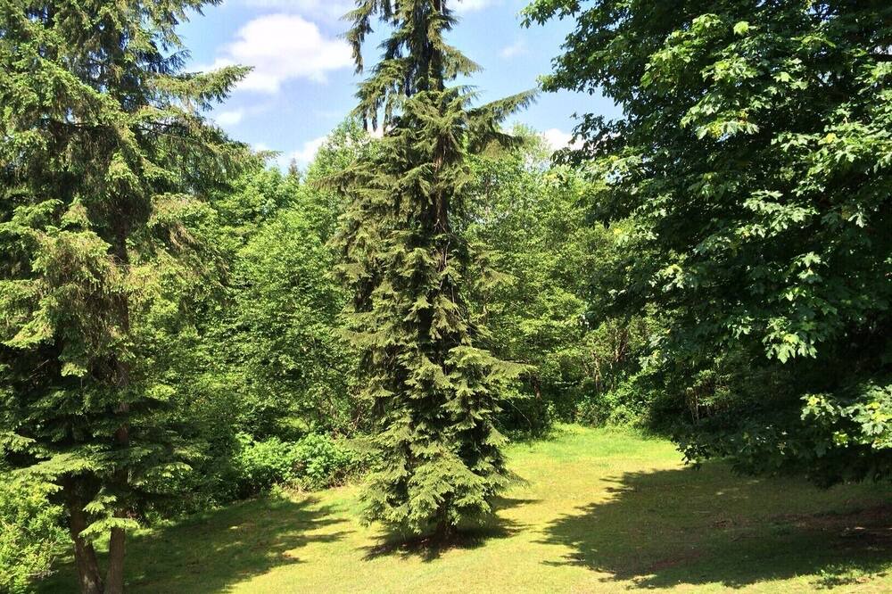Photo of Outdoor in Snohomish