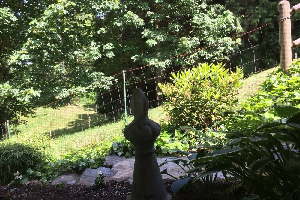 Photo of Outdoor in Snohomish