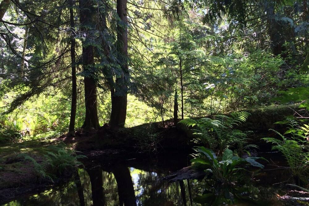 Photo of Outdoor in Snohomish