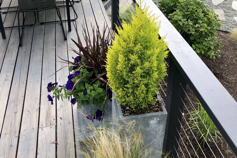 Photo of Patio Balcony in Port Ludlow