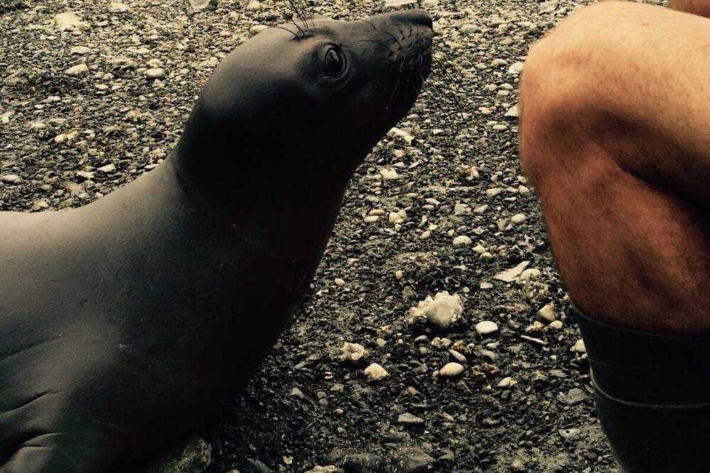 Photo of Others in Port Ludlow