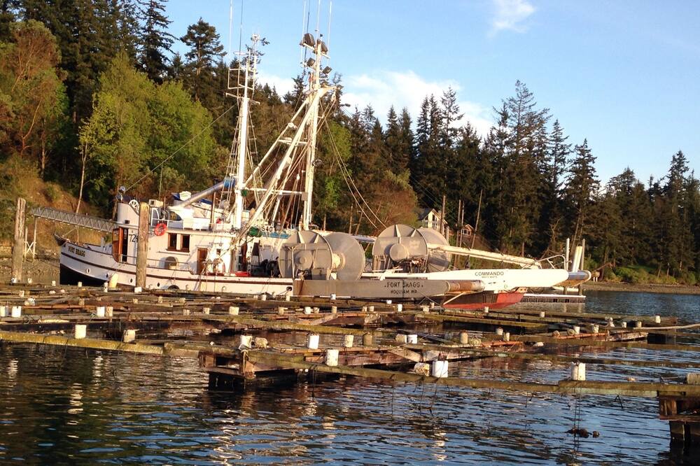Photo of Others in Port Ludlow