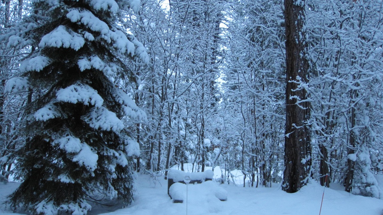 Photo of Others in McCall