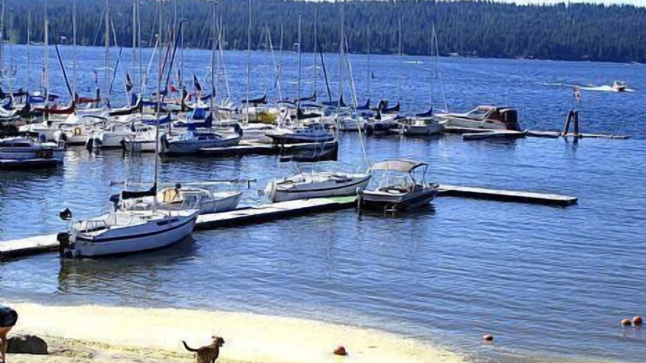 Photo of Others in McCall