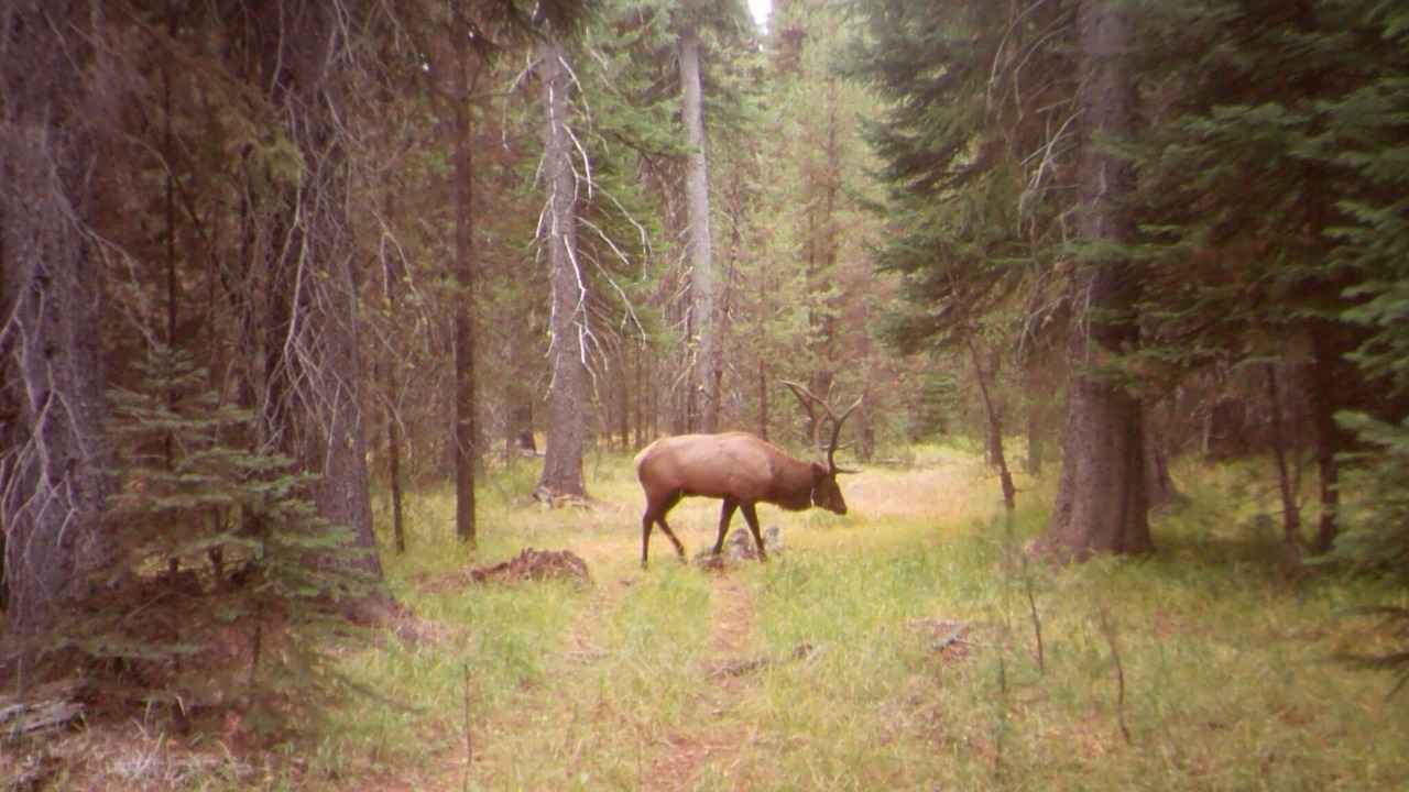 Photo of Outdoor in Crescent
