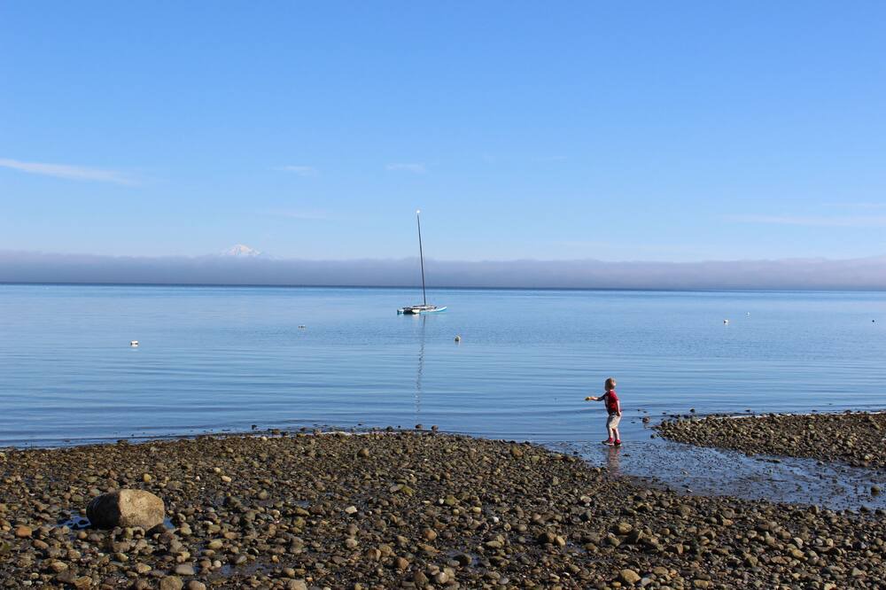 Photo of Others in Point Roberts