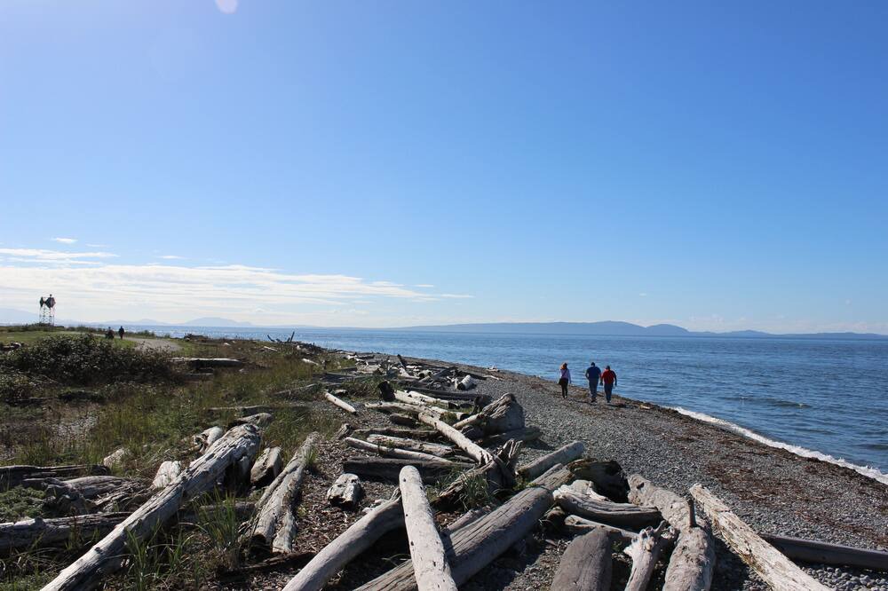 Photo of Others in Point Roberts