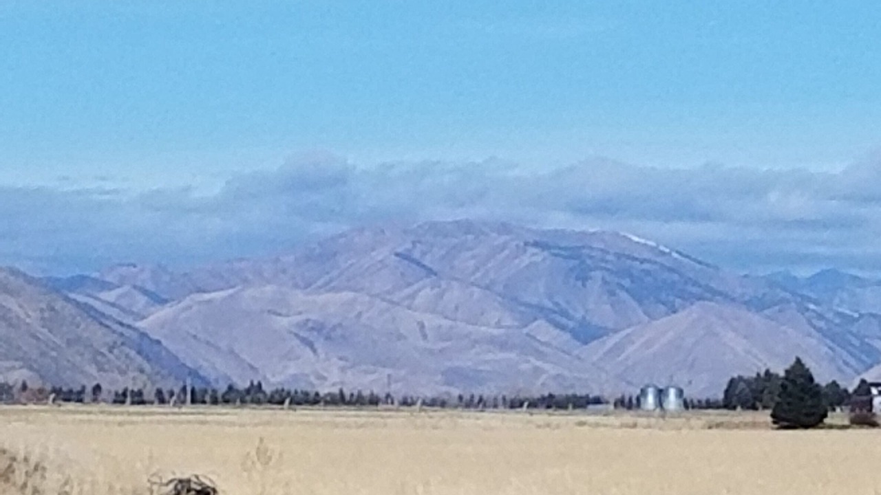 Photo of Others in Bellevue