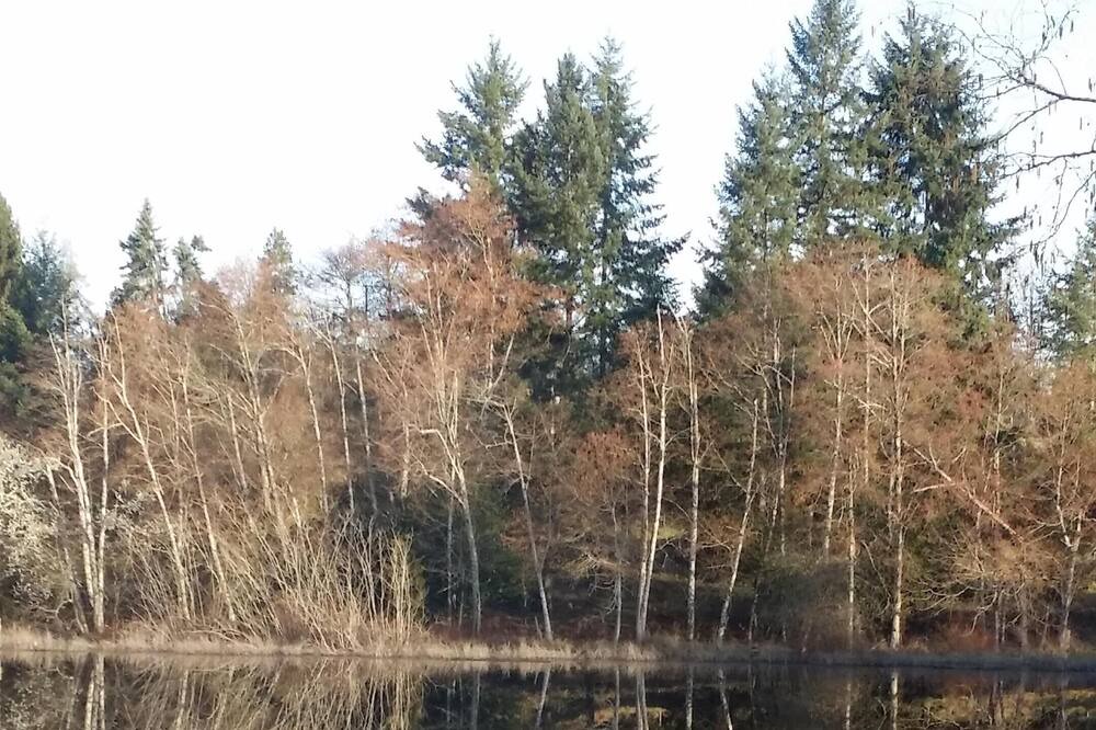 Photo of Others in Olympia