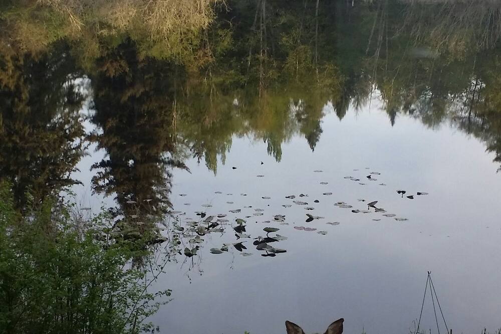 Photo of Outdoor in Olympia
