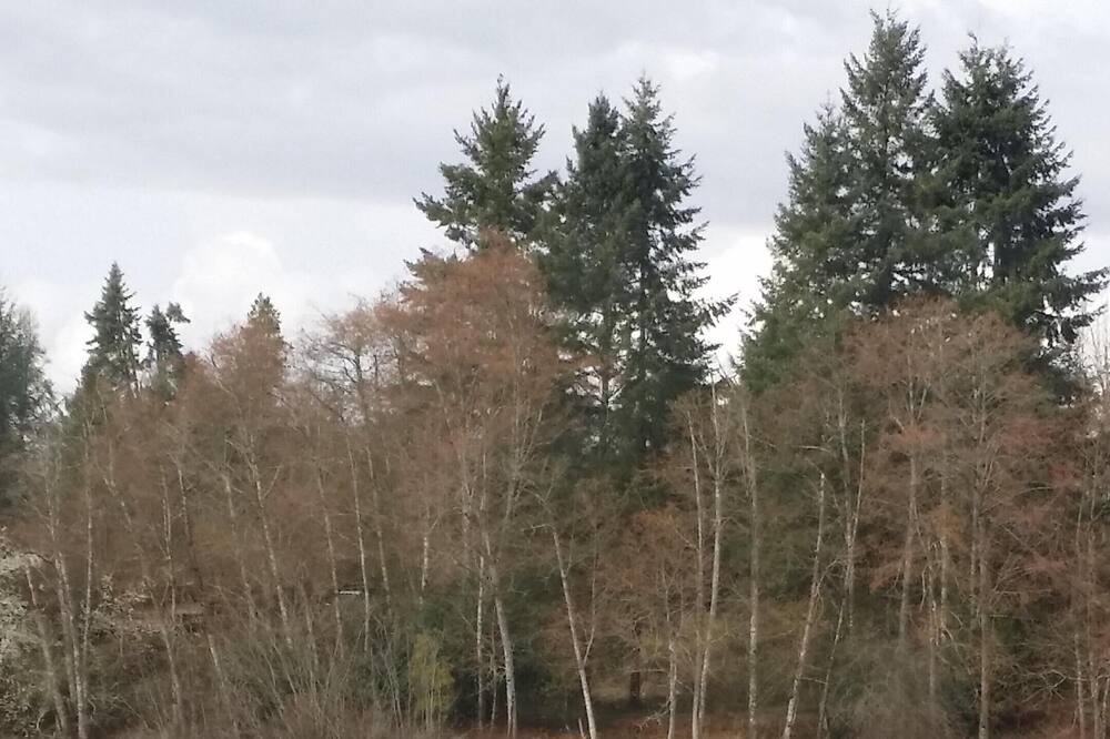 Photo of Others in Olympia