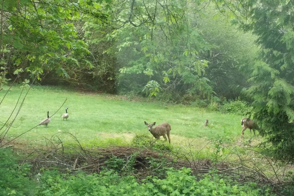 Photo of Outdoor in Olympia