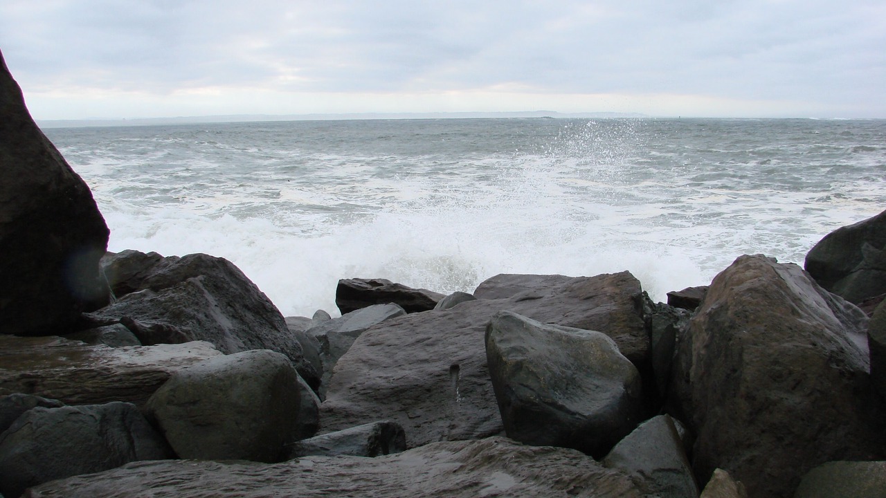 Photo of Others in Copalis Beach