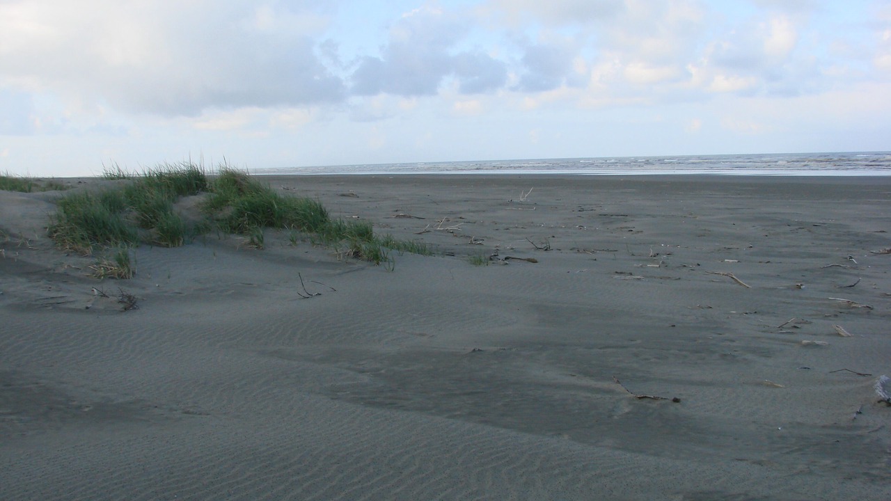 Photo of Others in Copalis Beach