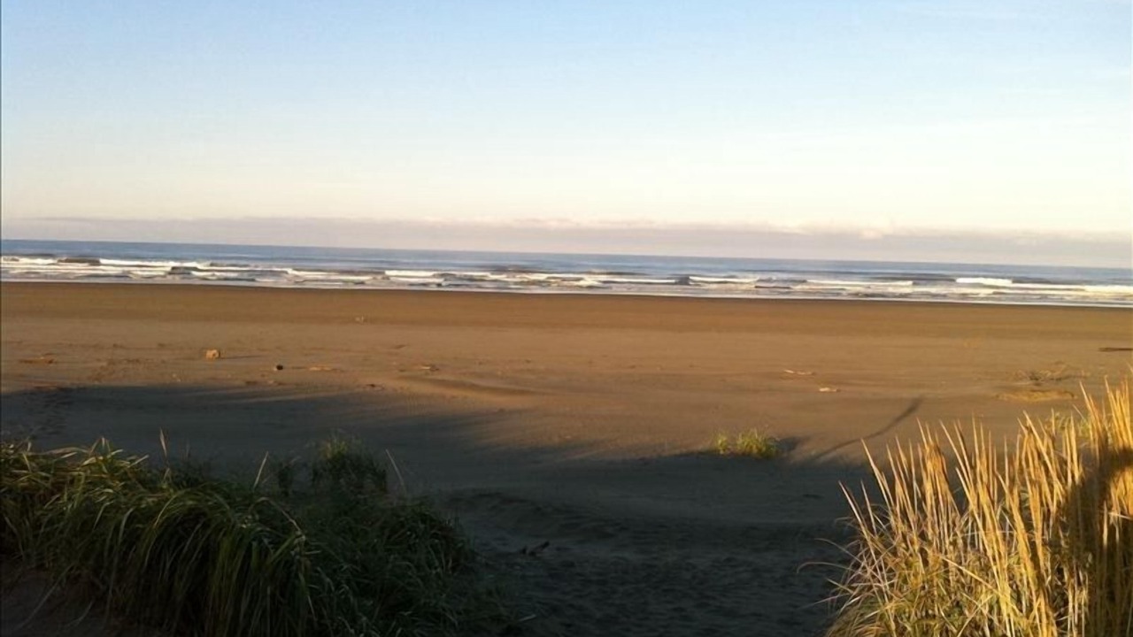Photo of Others in Copalis Beach