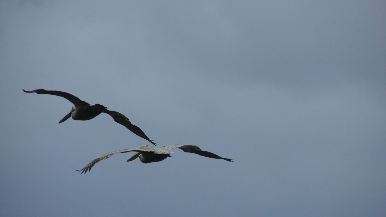 Photo of Others in Copalis Beach
