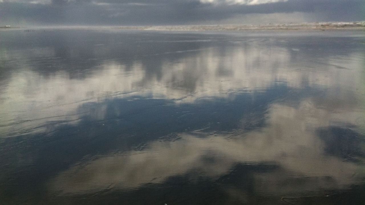 Photo of Others in Copalis Beach