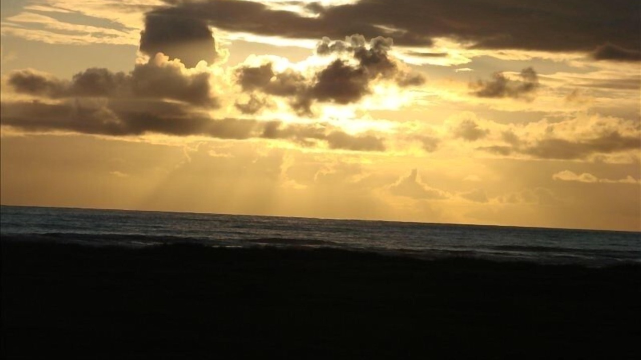 Photo of Others in Copalis Beach
