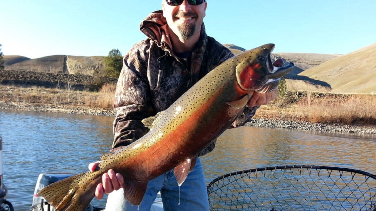 Photo of Others in Nez Perce County