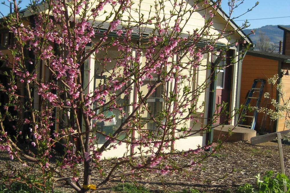 Photo of Outdoor in Ashland